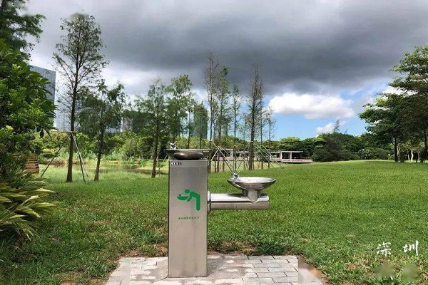 排查3处水质隐患：深圳湾公园饮用水检测案例解析